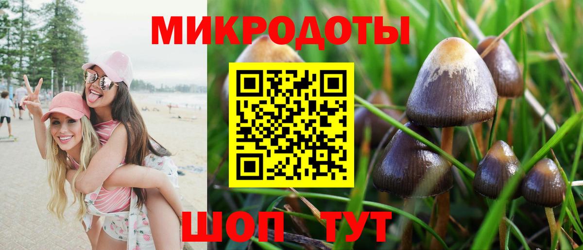 Галлюциногенные грибы прущие грибы Пушкино